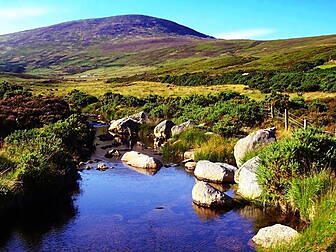 Record tourism numbers for Ire...